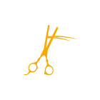Hairdressing Salons