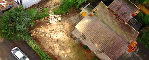 Tree Reductions