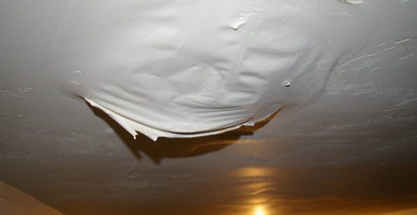 Mold Damage