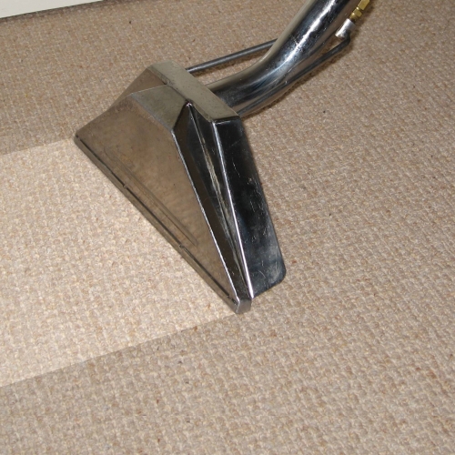 £50 OFF CARPET CLEANING SERVICES