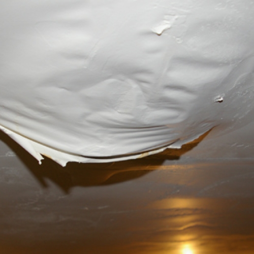 Mold Damage